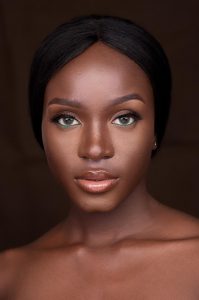 Read more about the article Highlight & Contour